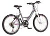 BICIKL JUNIOR 20 VENSSINI PARMA 20" 13" V-BRAKE  6 BRZINA 120-142CM (XXS)  SIVI POLU MAT