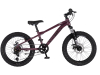 Bicikl Visitor Cascade 20" bordo crni