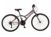 Bicikl Explorer Spy Daisy 24"  sivo roze