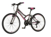 Bicikl Explorer Spy Daisy 24"  sivo roze