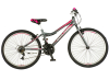Bicikl Explorer Magnito 24" sivo roze