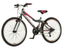 Bicikl Explorer Magnito 24" sivo roze