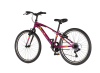 Bicikl Venssini Arcadia 24" bordo roze