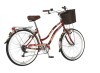 Bicikl Visitor Deepwater 26" bordo braon