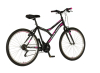 Bicikl Explorer Spy Daisy 26" sivo roze