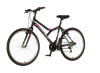 Bicikl Explorer Spy Daisy 26" sivo roze