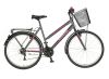 Bicikl Explorer Elite Lady 26" sivo ljubičasti