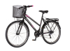 Bicikl Explorer Elite Lady 26"  sivo roze