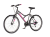 Bicikl Explorer Spy 26" sivo roze
