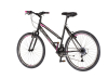 Bicikl Explorer Elite Lady 26"  sivo roze