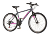 Bicikl Visitor Radiance 26"  sivo roze
