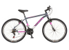 Bicikl Visitor Radiance 26"  sivo roze