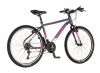 Bicikl Visitor Radiance 26"  sivo roze