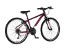 Bicikl Visitor Radiance 26" bordo roze