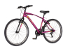 Bicikl Venssini Arcadia 26" bordo roze