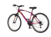 Bicikl Venssini Arcadia 26" bordo roze