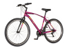 Bicikl Venssini Arcadia 27" bordo roze