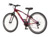 Bicikl Venssini Arcadia 27" bordo roze