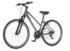 Bicikl Visitor Terra Lady 28" sport sivo tirkiz