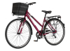 BICIKL TOUR EXPLORER AXYS LADY 28" ALU 18" V-BRAKE  6 BRZINA 155-178CM (S/M) BORDO PERLA UV SJAJ