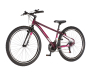 Bicikl Visitor Radiance 29" bordo roze