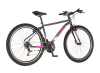 Bicikl Visitor Radiance 29" sivo roze