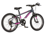 Bicikl Visitor Radiance 20" sivo roze