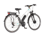 E-bicikl VisitorTouring cross bicikla belo siva