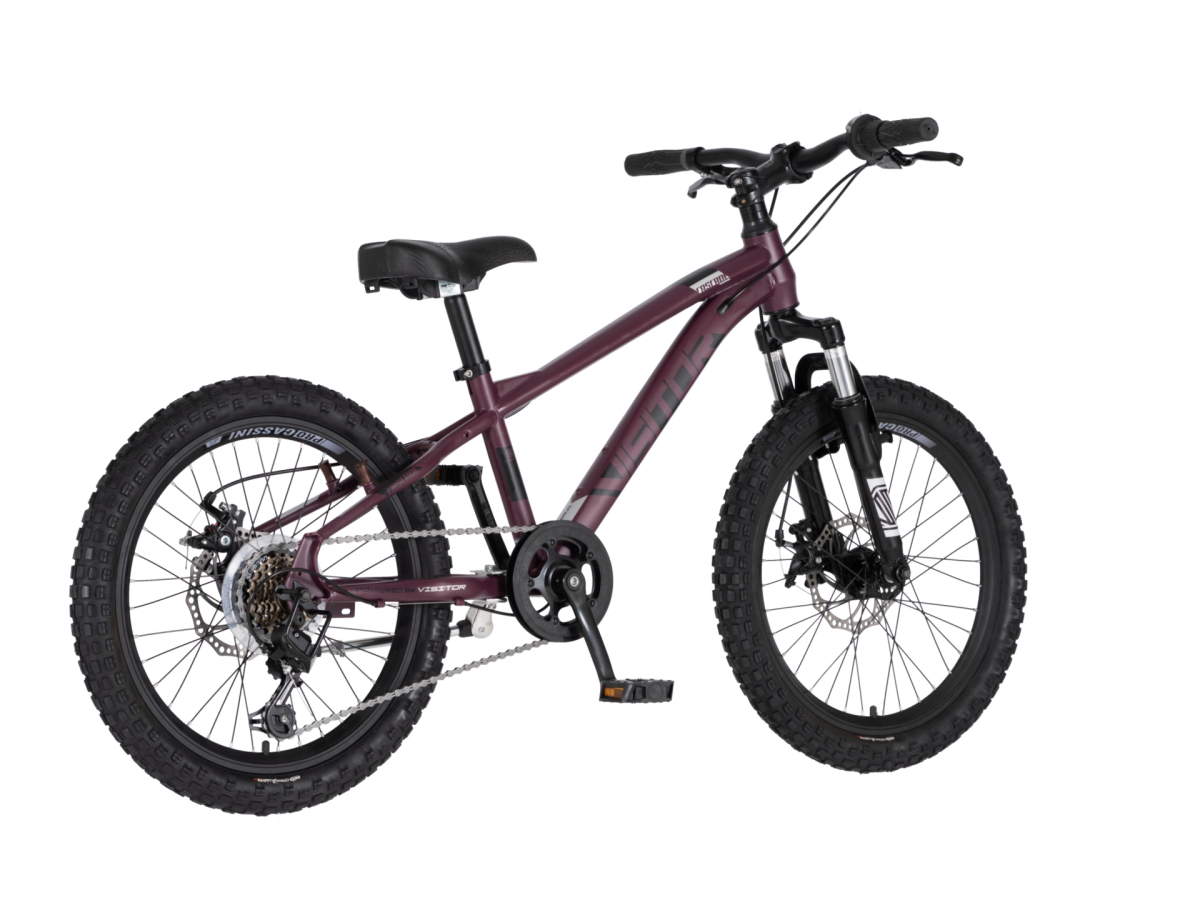 Bicikl Visitor Cascade 20" bordo crni