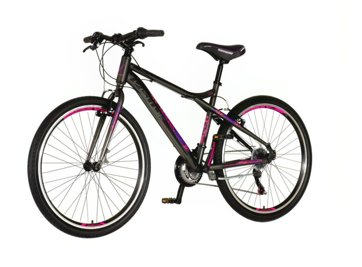 Bicikl Visitor Aurora 26" sivo crni