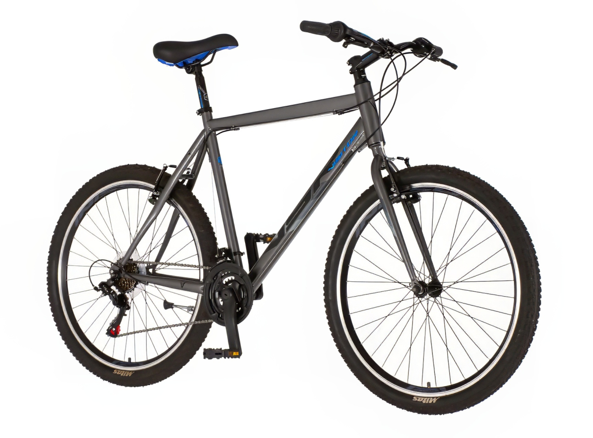 Bicikl Visitor Proclassic 26" sivi