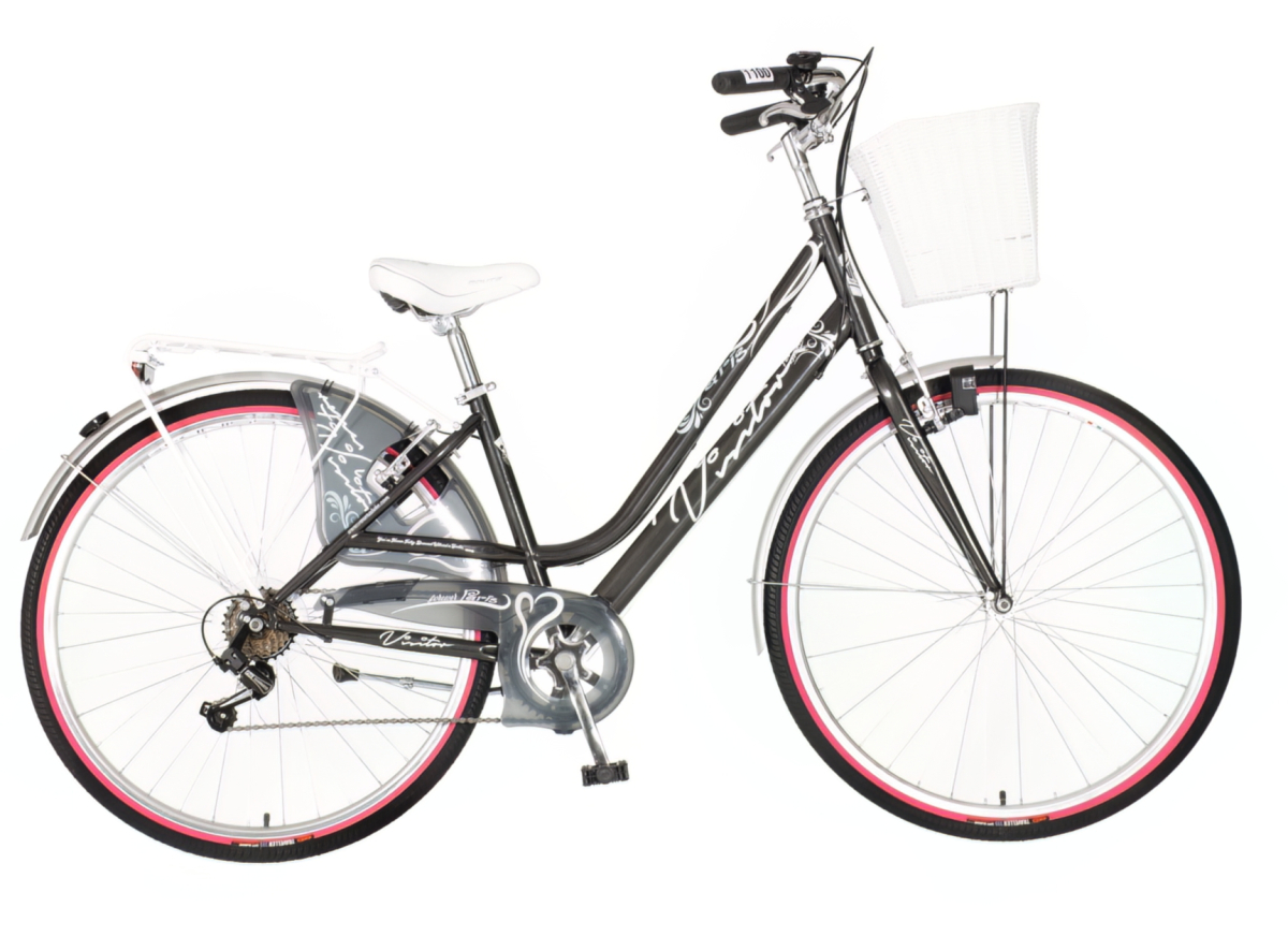 Fashion bicikla visitor siva-fas2828s6