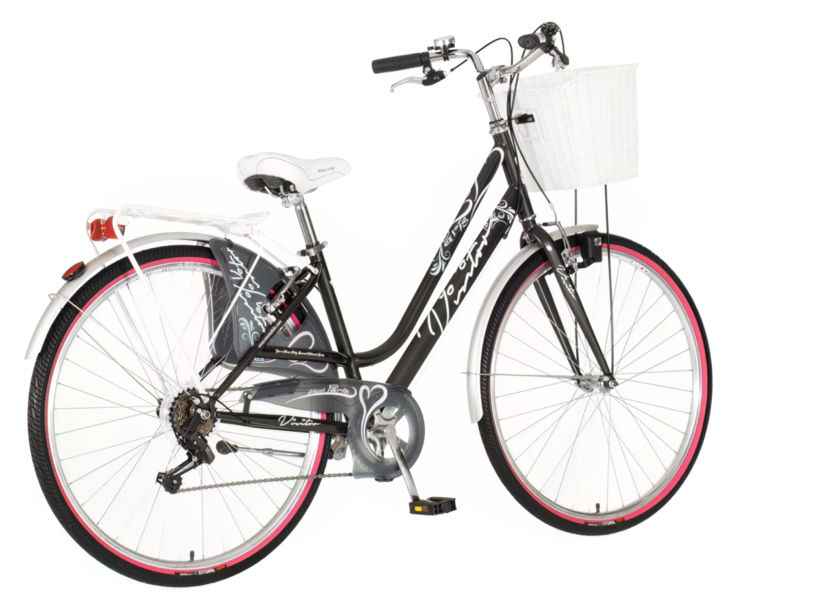 Fashion bicikla visitor siva-fas2828s6