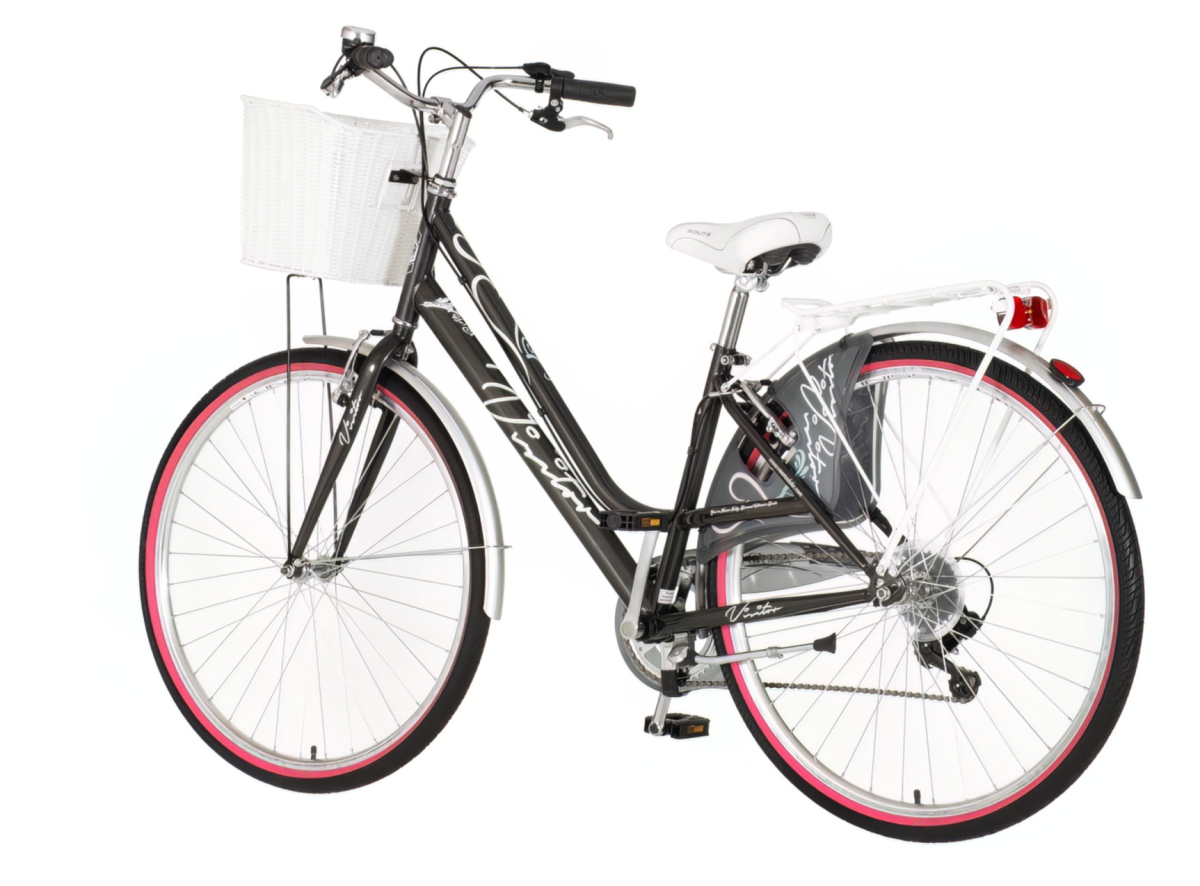 Fashion bicikla visitor siva-fas2828s6