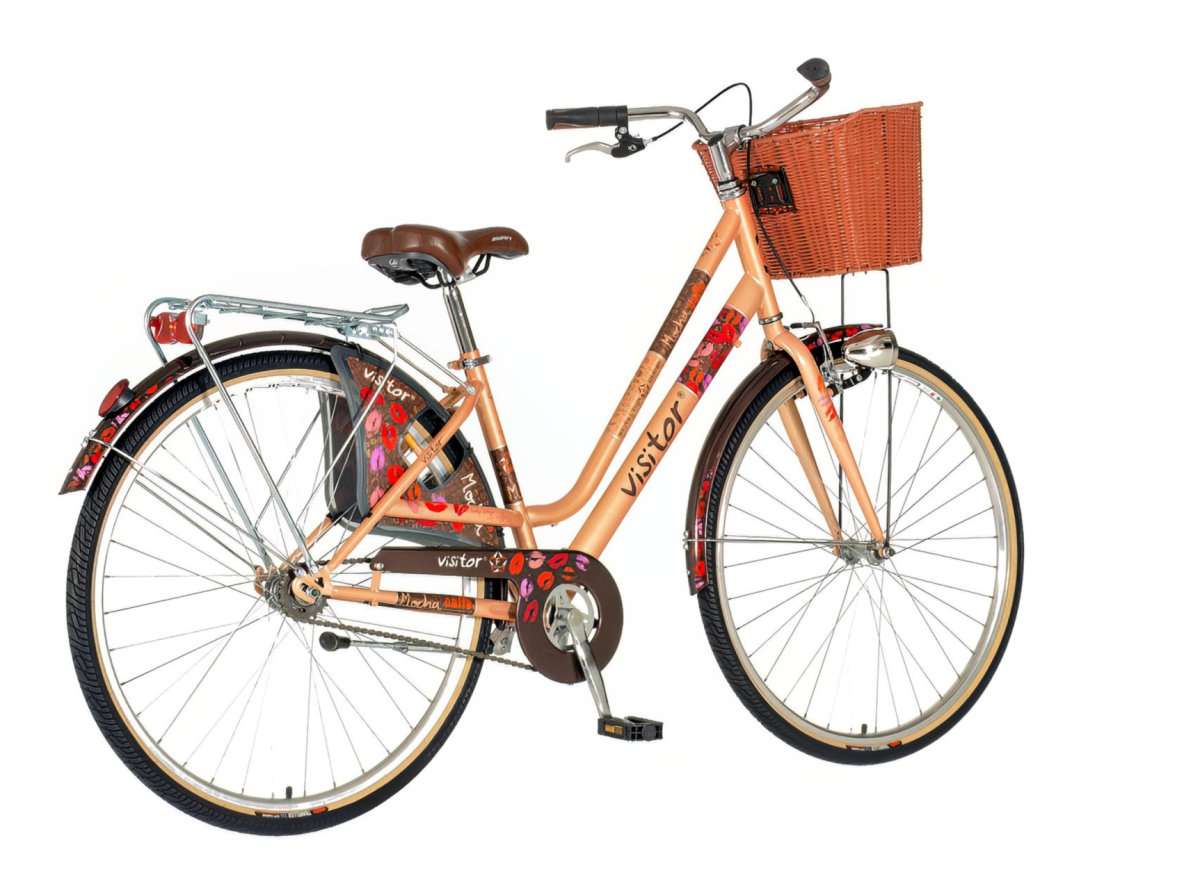 Braon  mocha ženska bicikla -fas281f