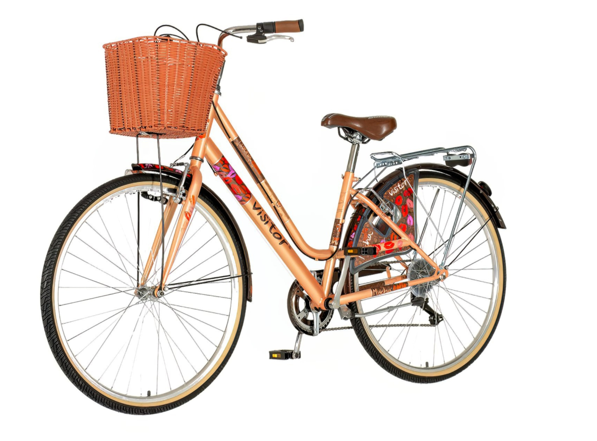 Visitor mocha bicikla braon -fas281s6