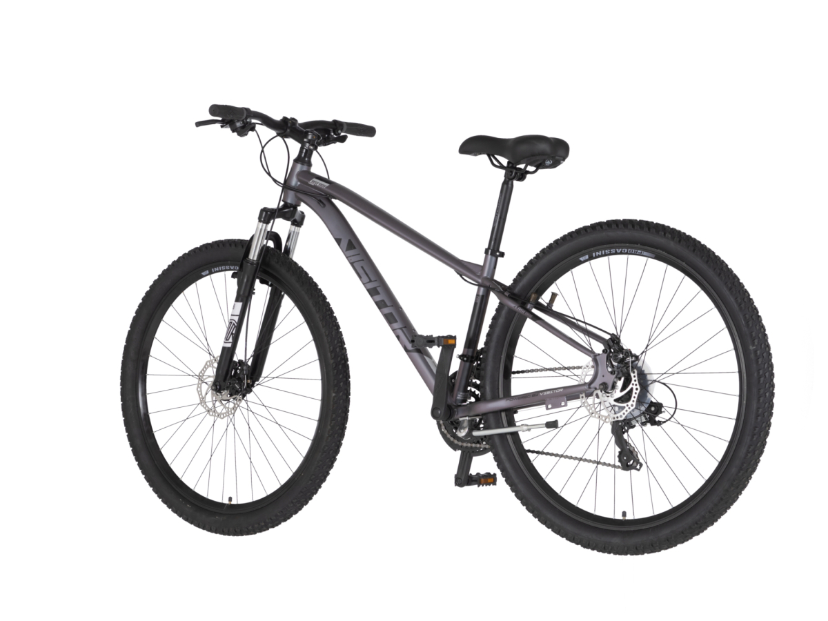 Bicikl Visitor Cascade 29" kameleon crni