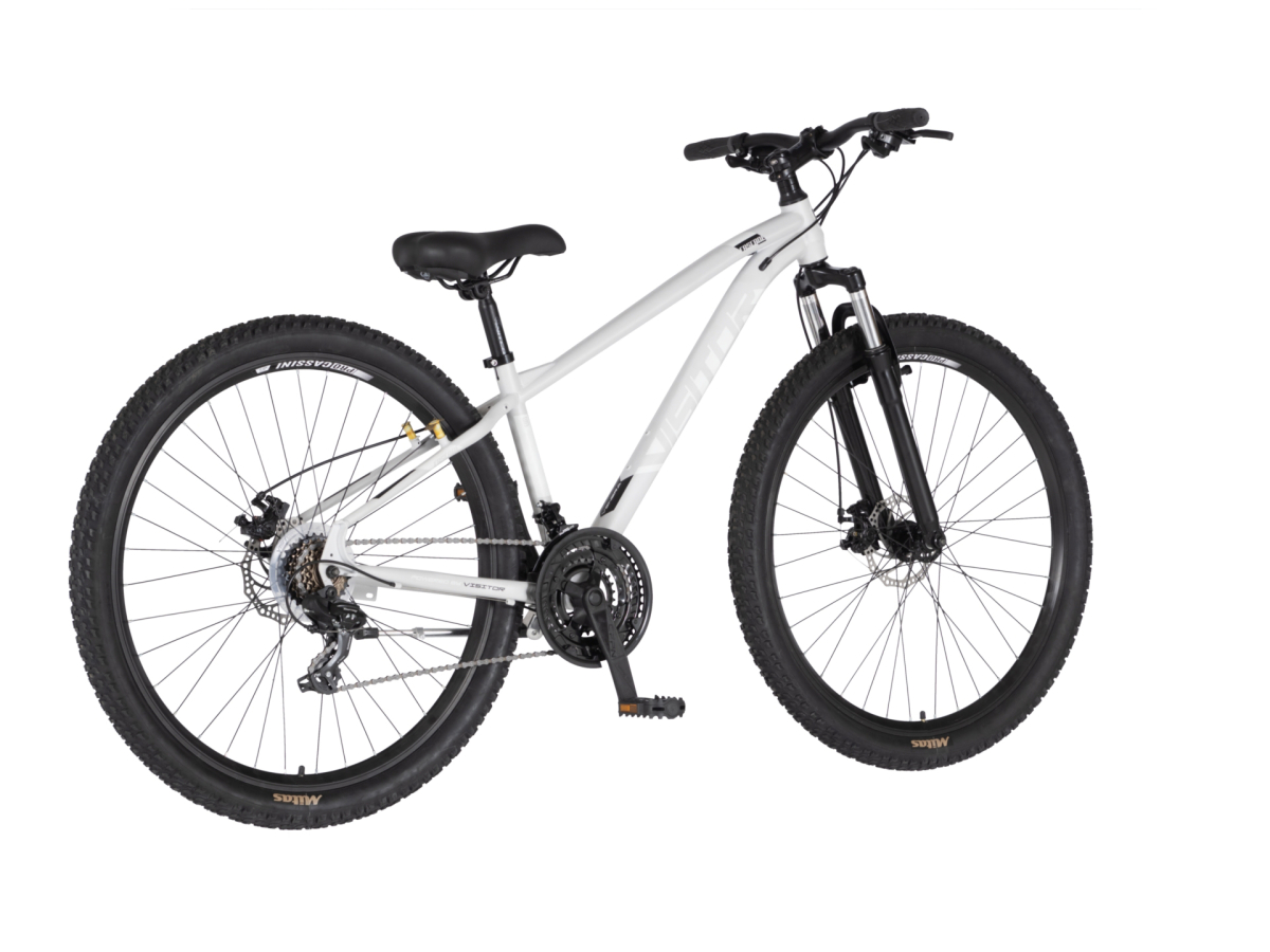 Bicikl Visitor Cascade 29" sivo beli