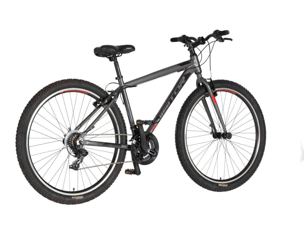 Bicikl Visitor Zero 29" sivi