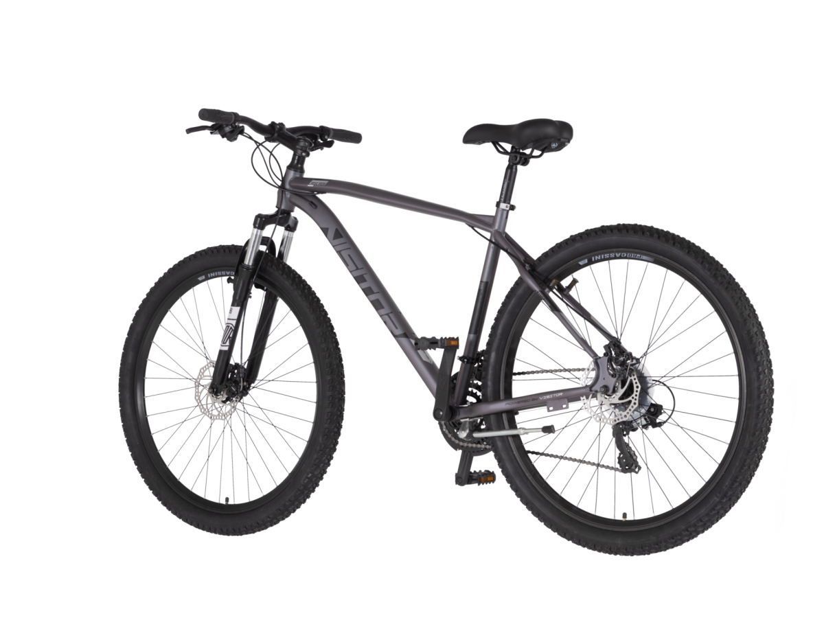 Bicikl Visitor Cascade 29" kameleon crni