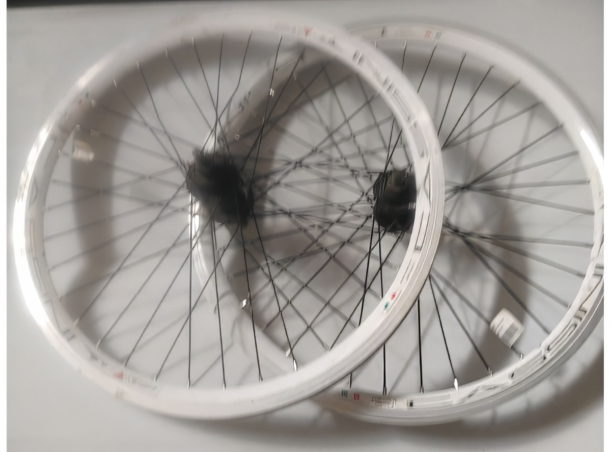 20.DZ.BL.CR.SF.CR.ME.MTB2 - V3 20" BELI CRNE MTB CELIK GLAVE.CRN CASSINI