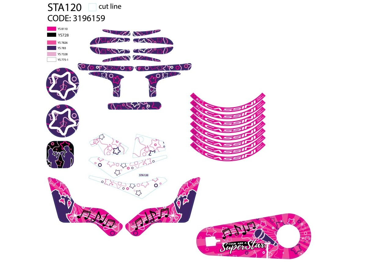 NAL.P.VEN STA120 SUPER STAR 12 SET NALEPNICA 2020