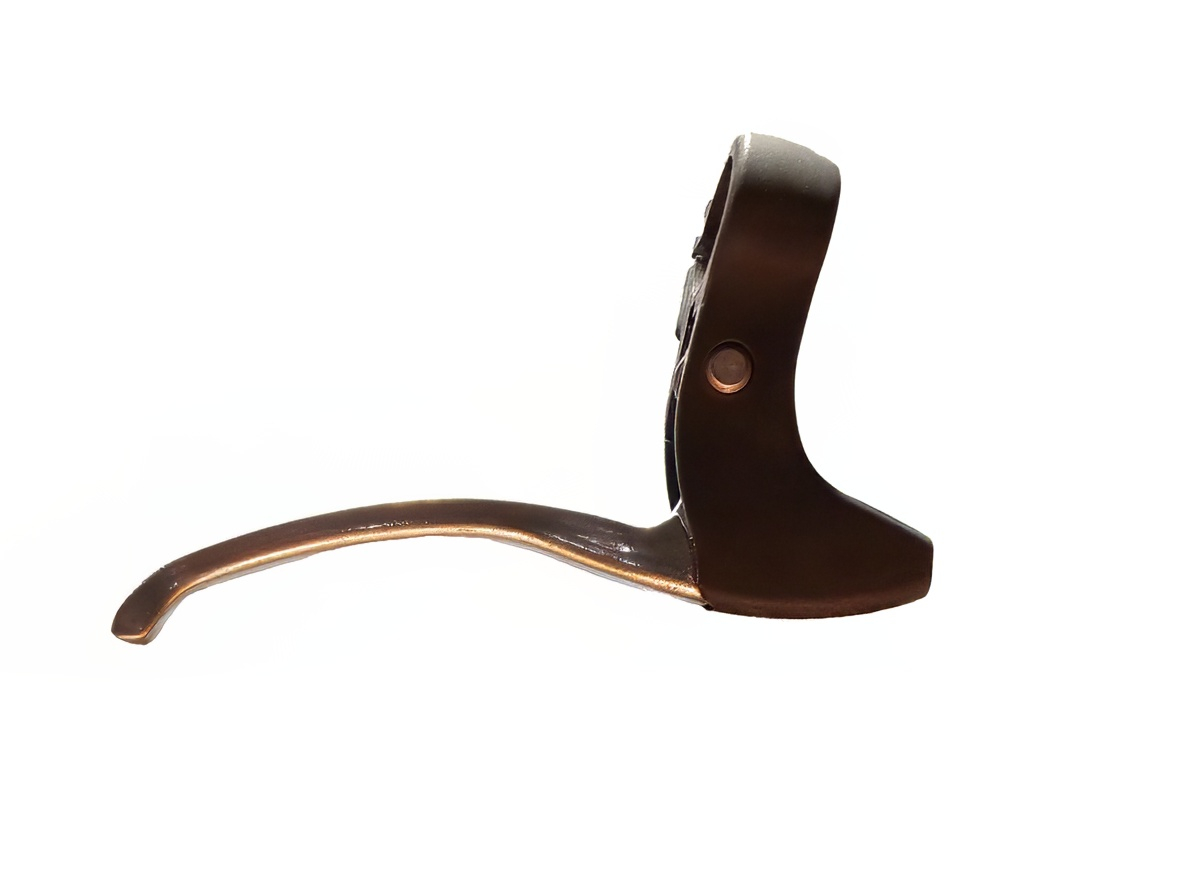 RUCICE KOCNICE OBICNE SIVE DESNA