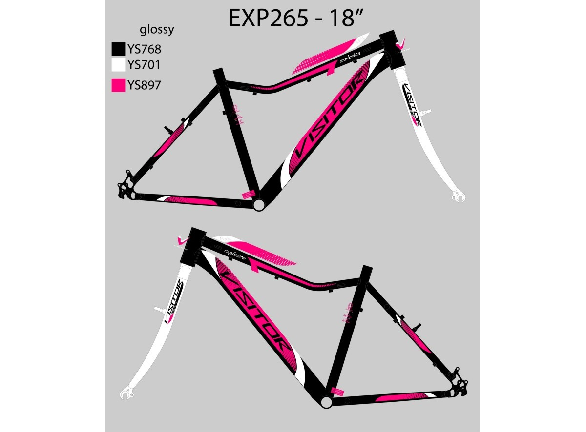 NAL.P.VEN ZA EXP265 2020