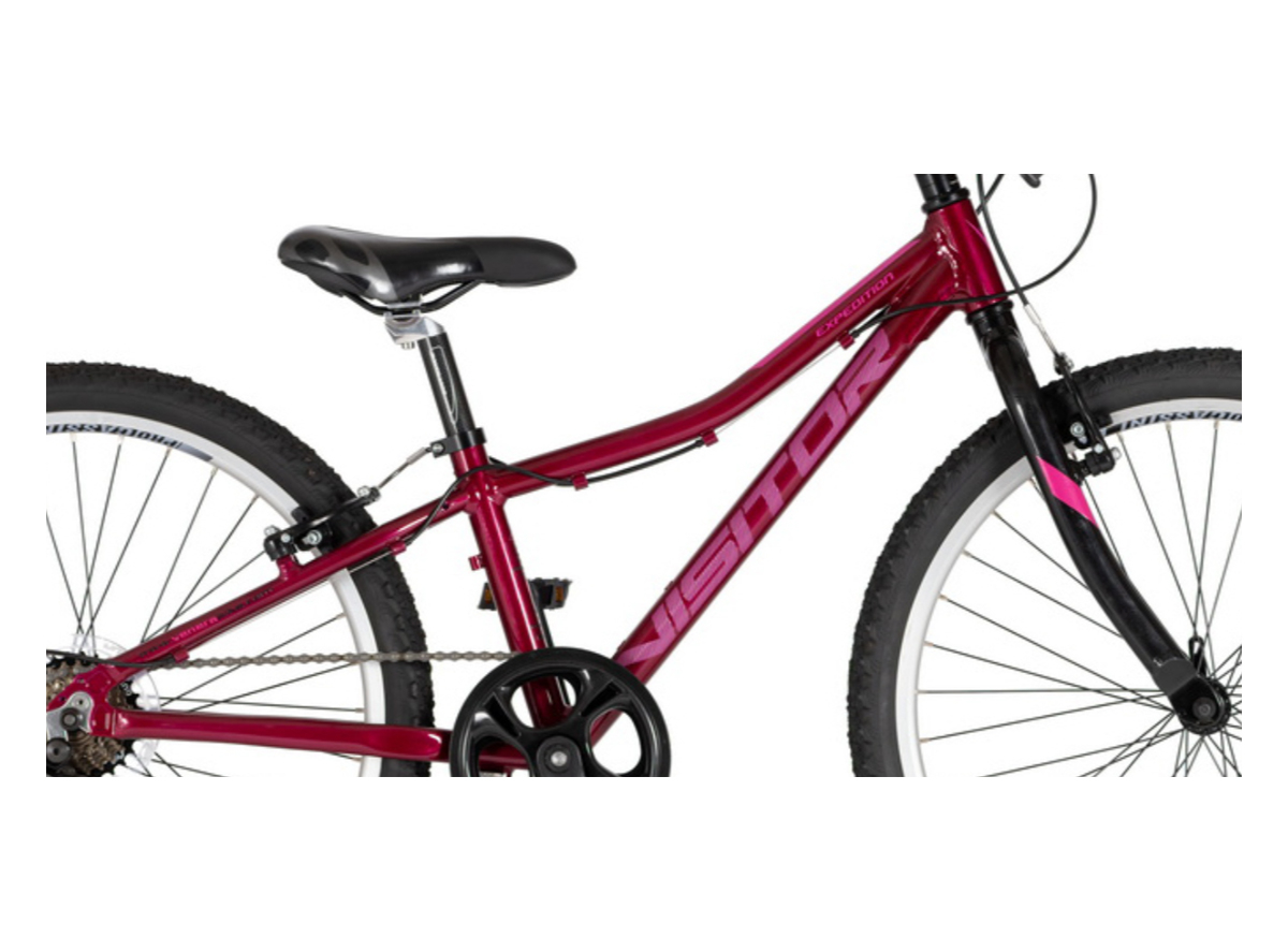 PROX241ZTVVB/26????/?11 F.RAM CASSINI VISITOR PROXY 2026 @@