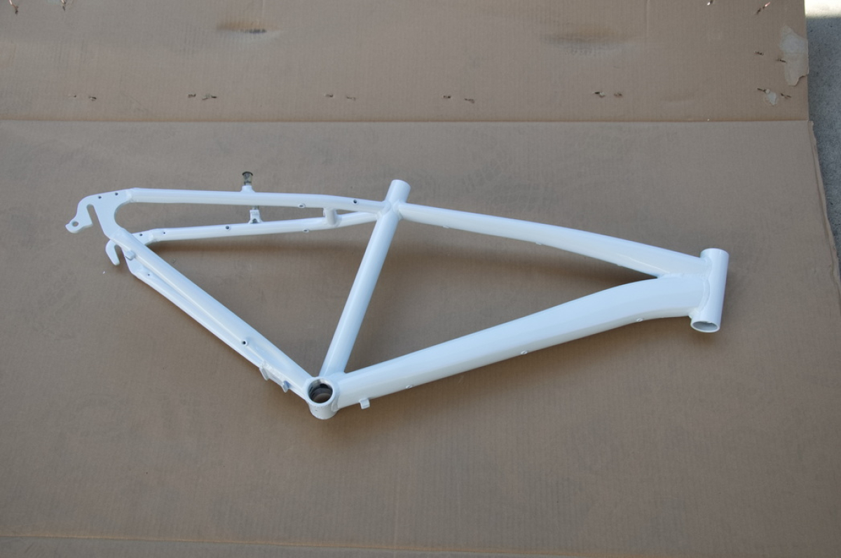 TOK17,1 24"_1dizajn F.RAM CASSINI VISITOR 2026@@