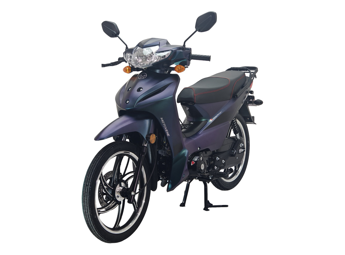 MOT-TAIJIONG KAMELEON 2026