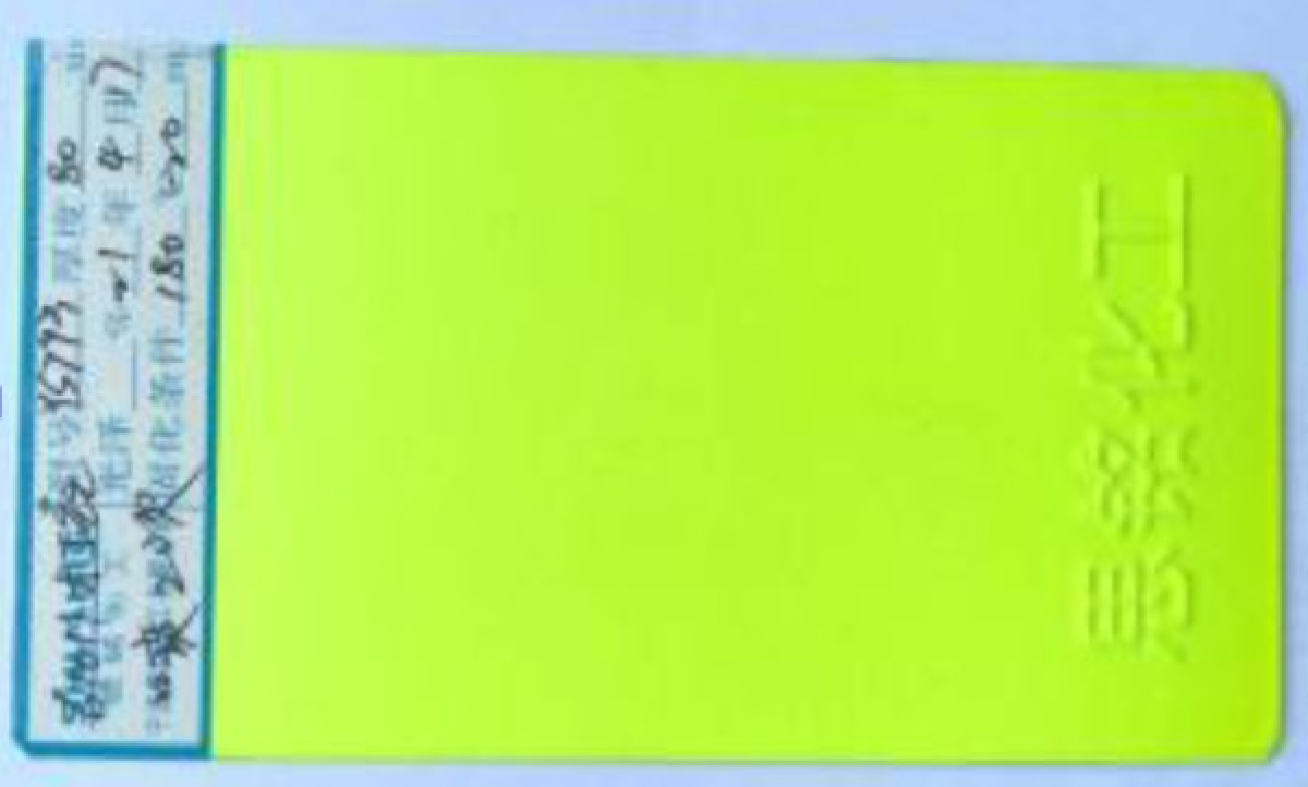 PRAH_ZUTA_SJAJ_NEON_YS793_809C_2_2026_YS793