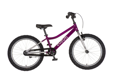 20 Zuzum-2 ljubičasta hrom