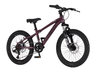 Bicikl Visitor Cascade 20" bordo crni